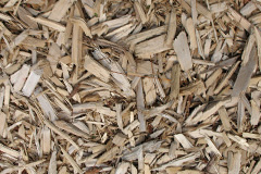 biomass boilers Gwastadgoed